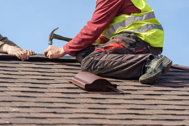 Best Flat Roof Repair Services  in Lyons, CO